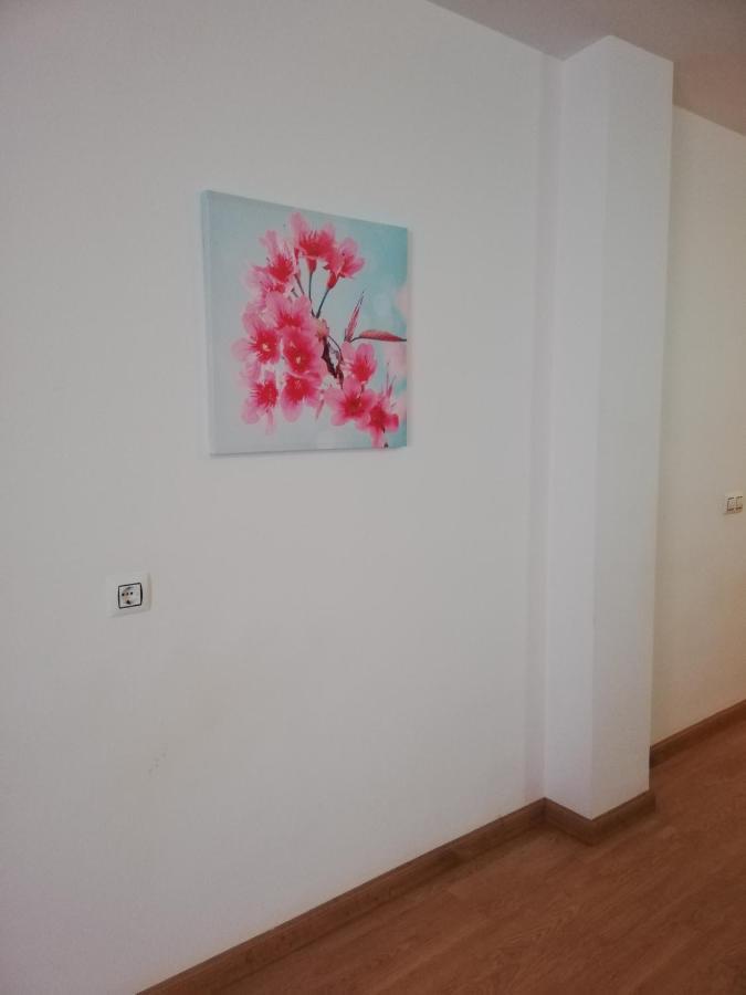 Apartamento En Primera Linea De Vera Playa Naturista! Esterno foto