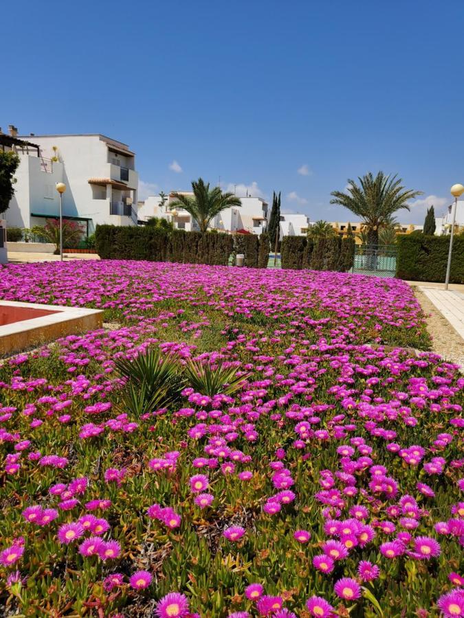 Apartamento En Primera Linea De Vera Playa Naturista! Esterno foto