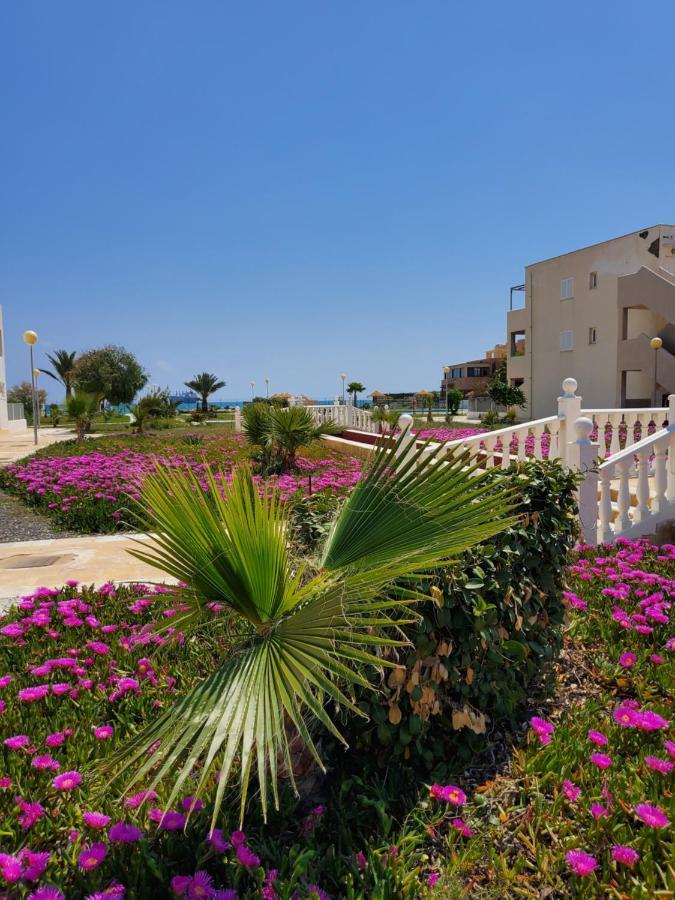 Apartamento En Primera Linea De Vera Playa Naturista! Esterno foto
